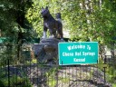 chena dog kennel sign with balto